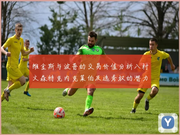 维金斯与波普的交易价值分析八村文森特克内克莱伯及选秀权的潜力探讨
